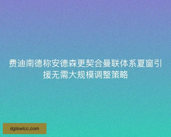 费迪南德称安德森更契合曼联体系夏窗引援无需大规模调整策略