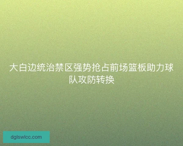 大白边统治禁区强势抢占前场篮板助力球队攻防转换